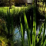 Moulin De La Diversiere, Avec Piscine En Pleine Nature Nocleg ze śniadaniem 3*