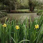 B&B Moulin De La Diversiere, Avec Piscine En Pleine Nature