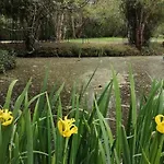 Moulin De La Diversiere, Avec Piscine En Pleine Nature B&B 3*