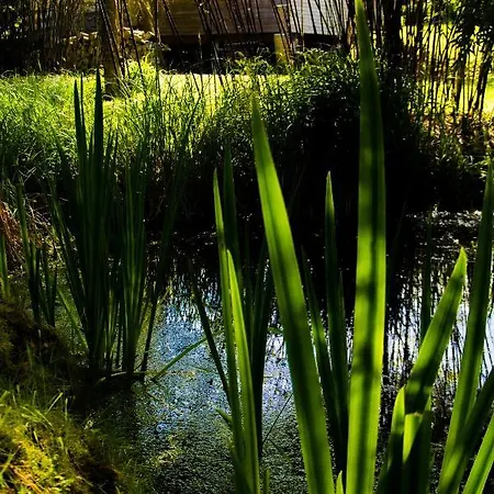 Moulin De La Diversiere, Avec Piscine En Pleine Nature לינה וארוחת בוקר 3*