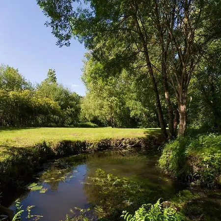 فندق مبيت وإفطار Moulin De La Diversiere, Avec Piscine En Pleine Nature