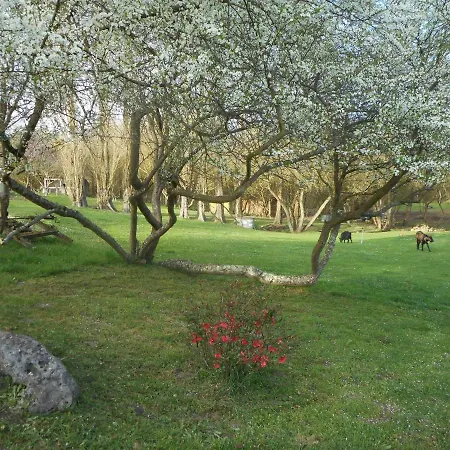Moulin De La Diversiere, Avec Piscine En Pleine Nature Bed & Breakfast
