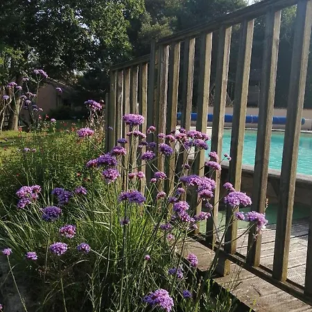 Moulin De La Diversiere, Avec Piscine En Pleine Nature Savigné-sous-le-Lude