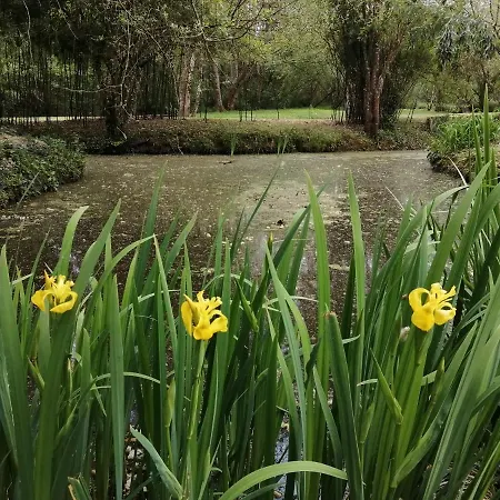 Alojamento de Acomodação e Pequeno-almoço Moulin De La Diversiere, Avec Piscine En Pleine Nature