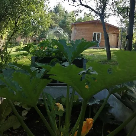 Bed & Breakfast Moulin De La Diversiere, Avec Piscine En Pleine Nature Savigné-sous-le-Lude