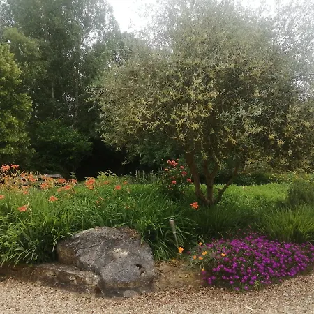Moulin De La Diversiere Bed & Breakfast