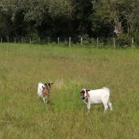 Moulin De La Diversiere, Avec Piscine En Pleine Nature Savigné-sous-le-Lude