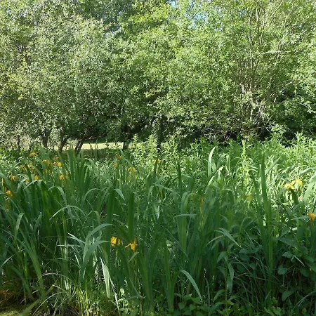 Bed & Breakfast Moulin De La Diversiere, Avec Piscine En Pleine Nature