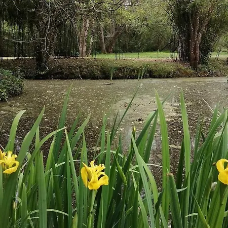 Moulin De La Diversiere, Avec Piscine En Pleine Nature Bed & Breakfast 3*
