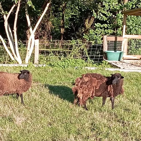 Moulin De La Diversiere, Avec Piscine En Pleine Nature