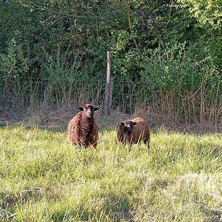 Bed & Breakfast Moulin De La Diversiere, Avec Piscine En Pleine Nature