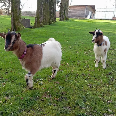 Moulin De La Diversiere, Avec Piscine En Pleine Nature