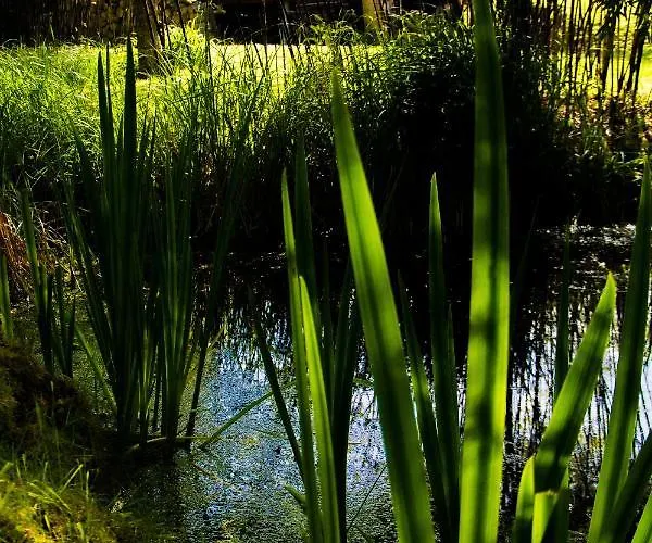 Moulin De La Diversiere, Avec Piscine En Pleine Nature B&B 3*