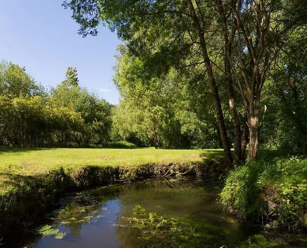 Frühstückspension Moulin De La Diversiere, Avec Piscine En Pleine Nature