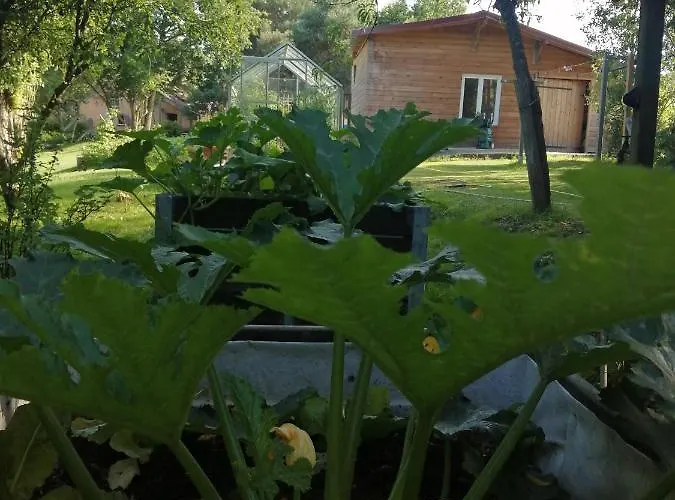 Frühstückspension Moulin De La Diversiere, Avec Piscine En Pleine Nature Savigné-sous-le-Lude